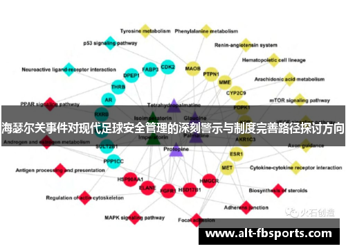 海瑟尔关事件对现代足球安全管理的深刻警示与制度完善路径探讨方向
