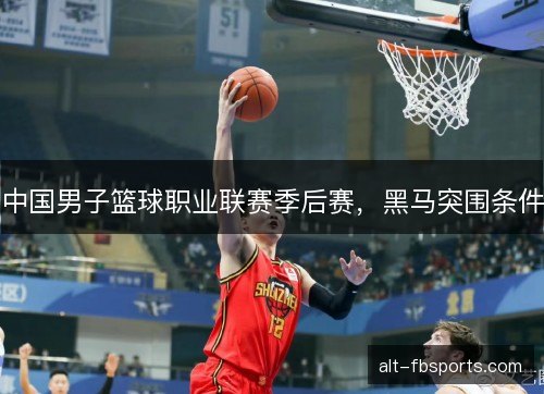 中国男子篮球职业联赛季后赛，黑马突围条件